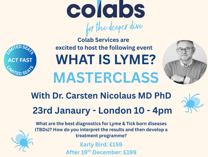 What is Lyme Masterclass
