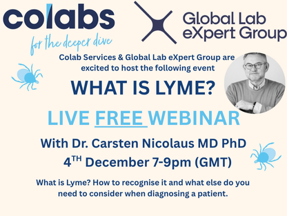 What is Lyme Live free webinar