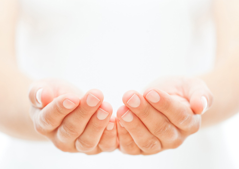 Clinical Evolution Hub